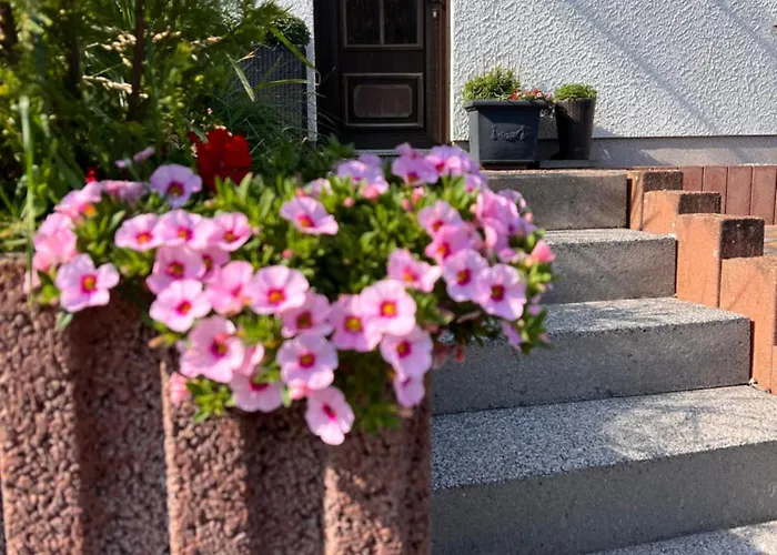 Am Nürburgring Apartment Siebenbach